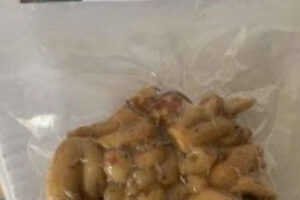 ＜冷凍＞SARIRAYA 冷凍サンドジンジャー 100g - 本場の香りを手軽に再現！